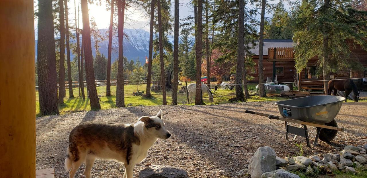 Kicking Horse Canyon Guest House Golden Kültér fotó